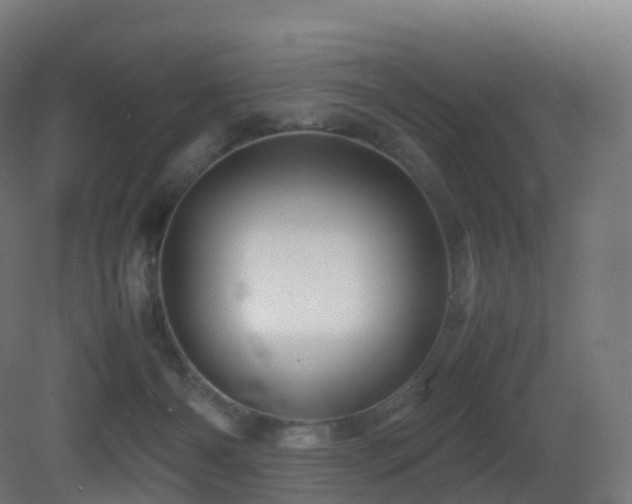 X0000081410126200701121219