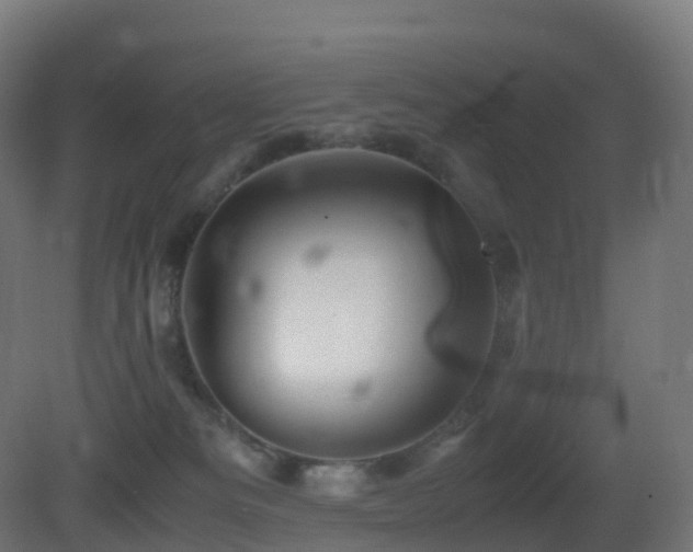 X0000081410133200701121219