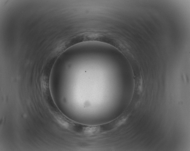 X0000081410135200701121219