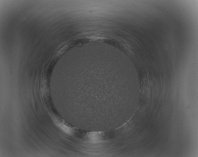 X0000081410136200701121219
