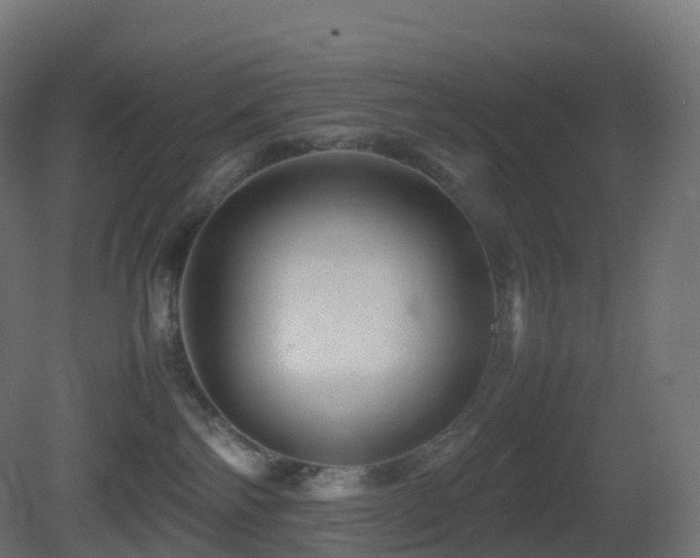 X0000081410138200701121219