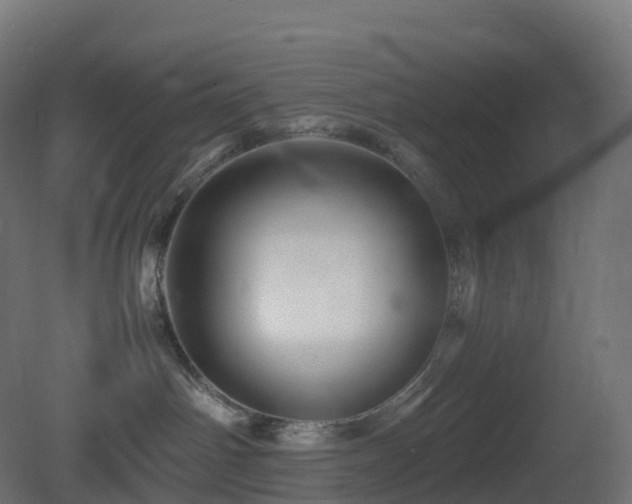 X0000081410142200701121219