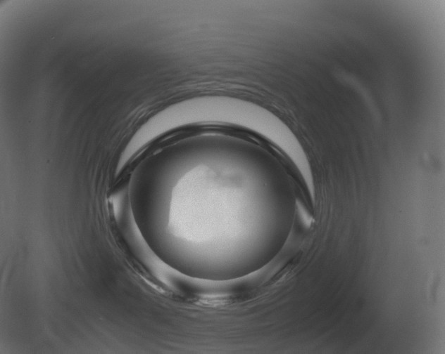 X0000081410143200701121219