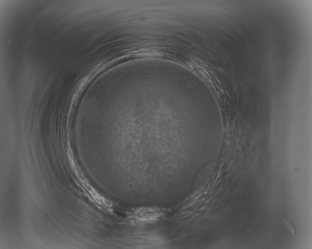 X0000081410145200701121218