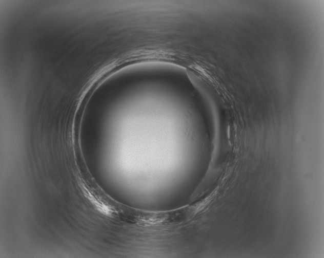 X0000081410148200701121218