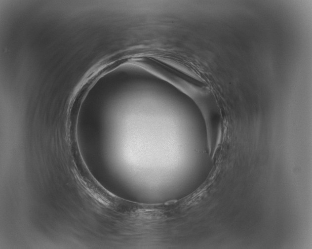 X0000081410150200701121218
