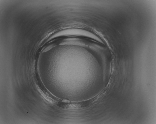 X0000081410154200701121218