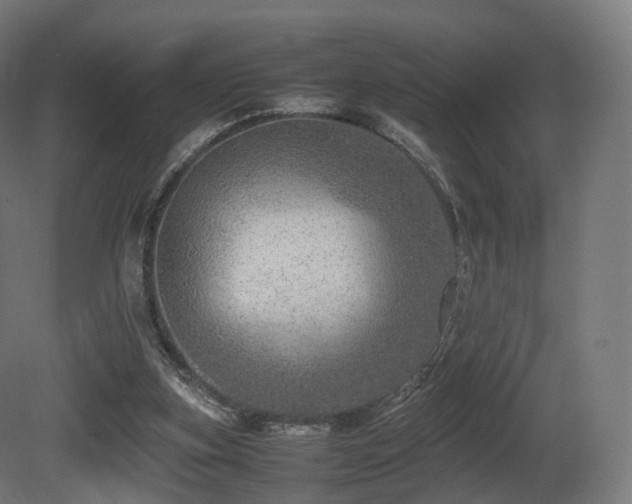 X0000081410155200701121218