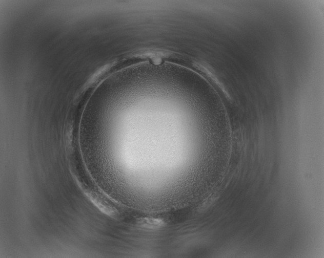X0000081410159200701121218