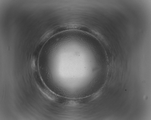 X0000081410166200701121218