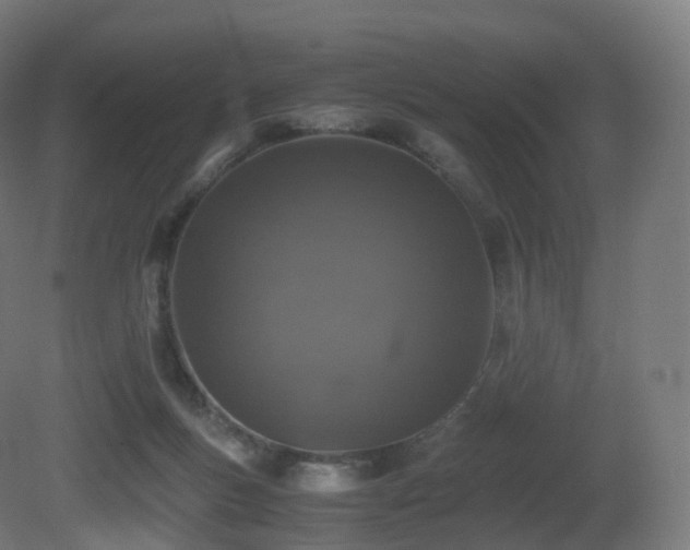 X0000081410167200701121218