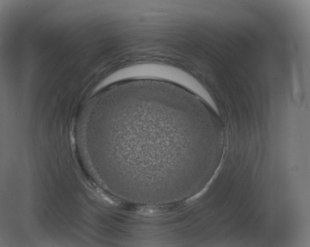 X0000081410174200701121218