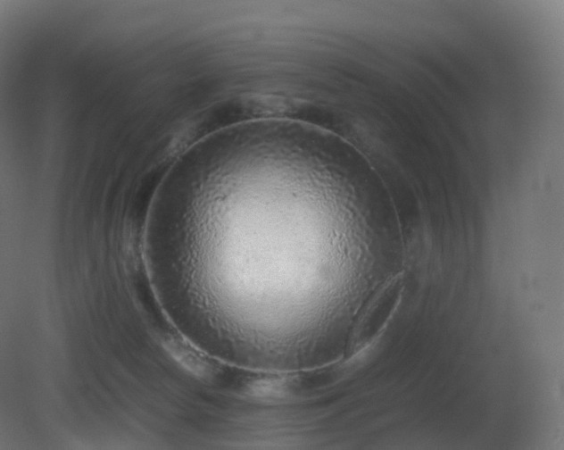 X0000081410178200701121219