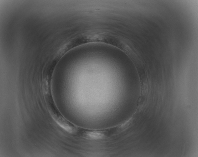 X0000081410183200701121219