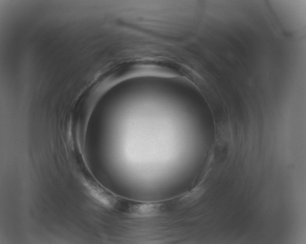 X0000081410184200701121219