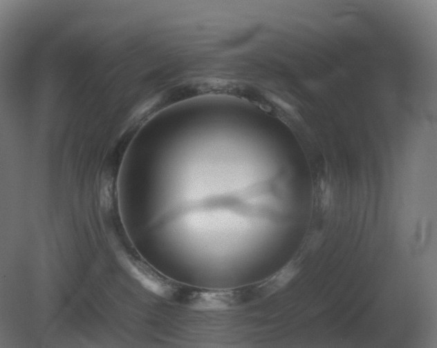 X0000081410188200701121219
