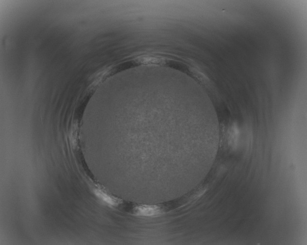 X0000081410189200701121219