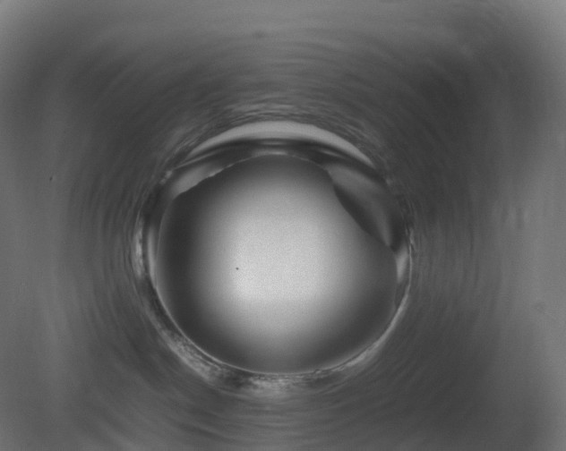 X0000081410190200701121219