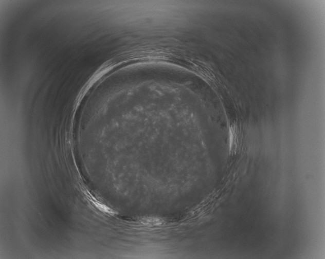 X0000081410195200701121218