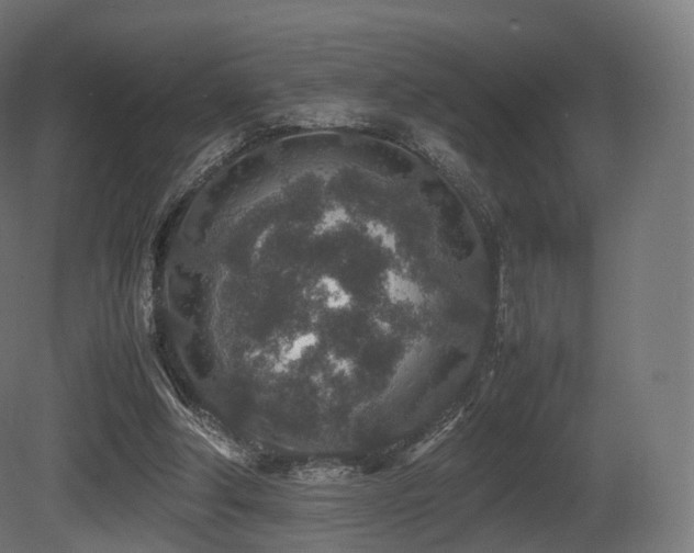 X0000081410202200701121218