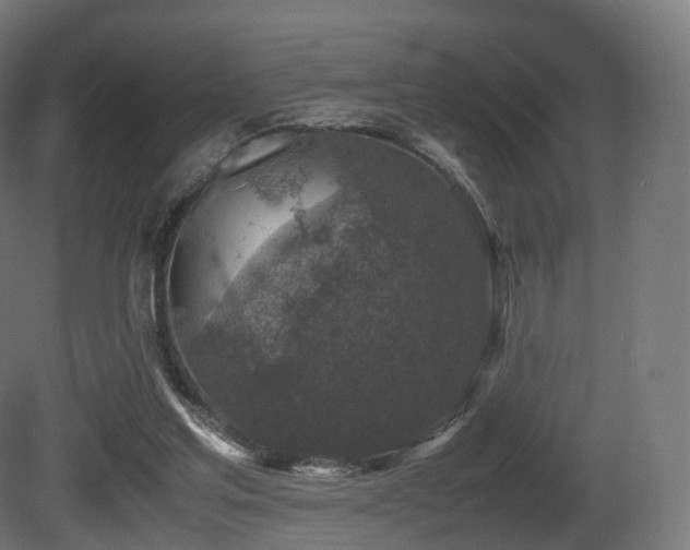 X0000081410205200701121218