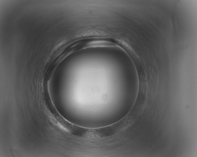 X0000081410207200701121218