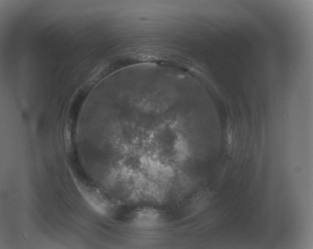 X0000081410214200701121218