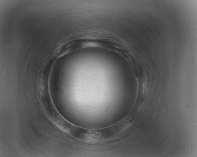 X0000081410215200701121218