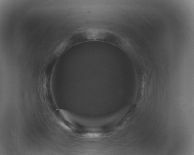 X0000081410219200701121218
