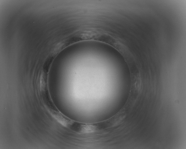 X0000081410226200701121217