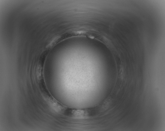 X0000081410230200701121217