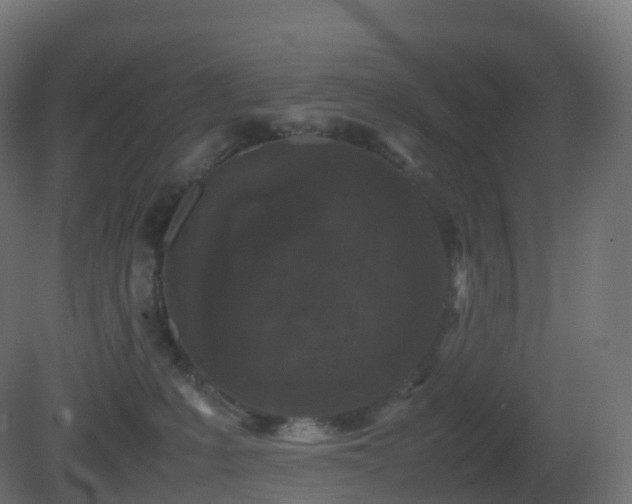 X0000081410231200701121217