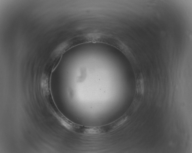 X0000081410238200701121217