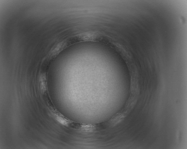 X0000081410240200701121217