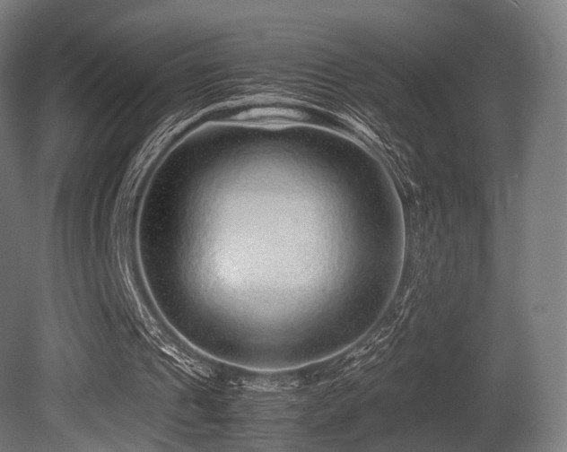 X0000081410241200701121216