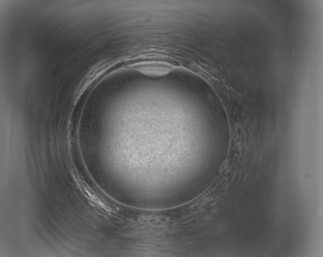 X0000081410242200701121216