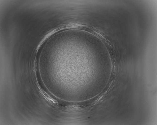 X0000081410244200701121216