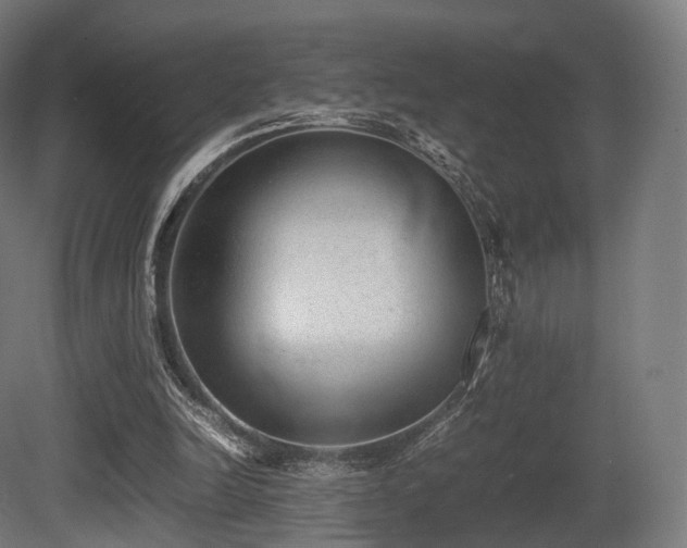 X0000081410246200701121216