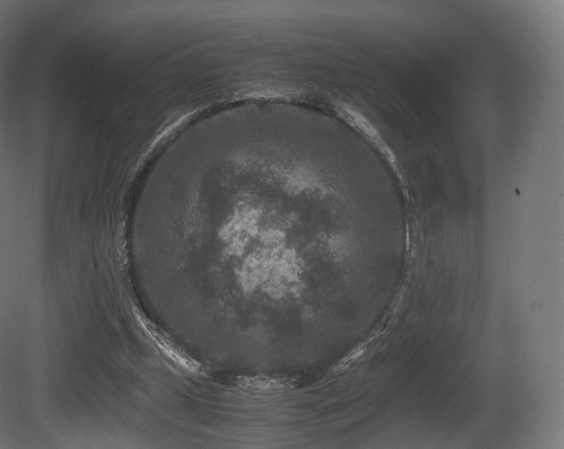 X0000081410249200701121216