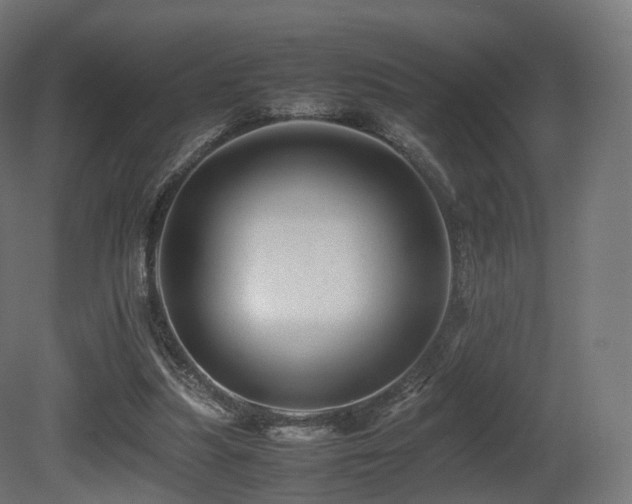 X0000081410251200701121217