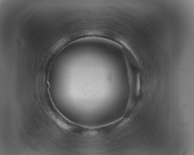 X0000081410253200701121217