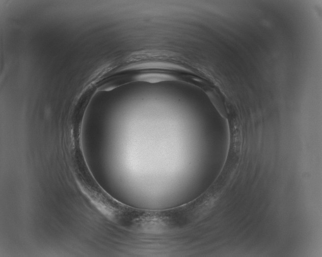 X0000081410254200701121217