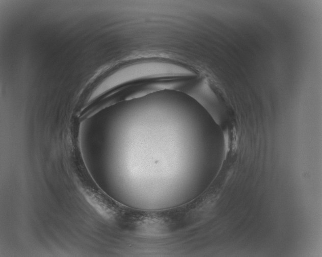 X0000081410256200701121217