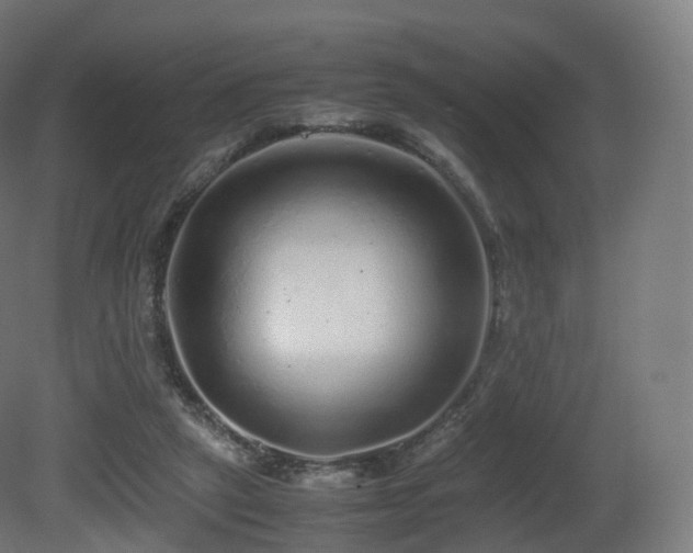 X0000081410257200701121217