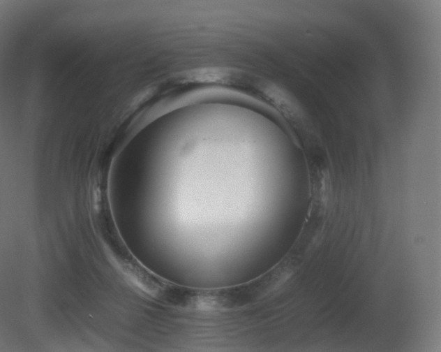 X0000081410264200701121217