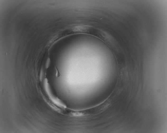 X0000081410265200701121217