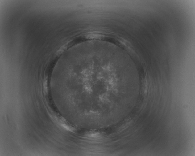 X0000081410267200701121217