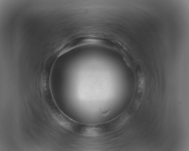 X0000081410268200701121217