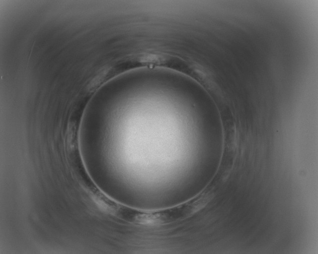 X0000081410273200701121217