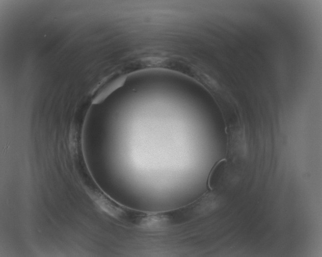 X0000081410274200701121217